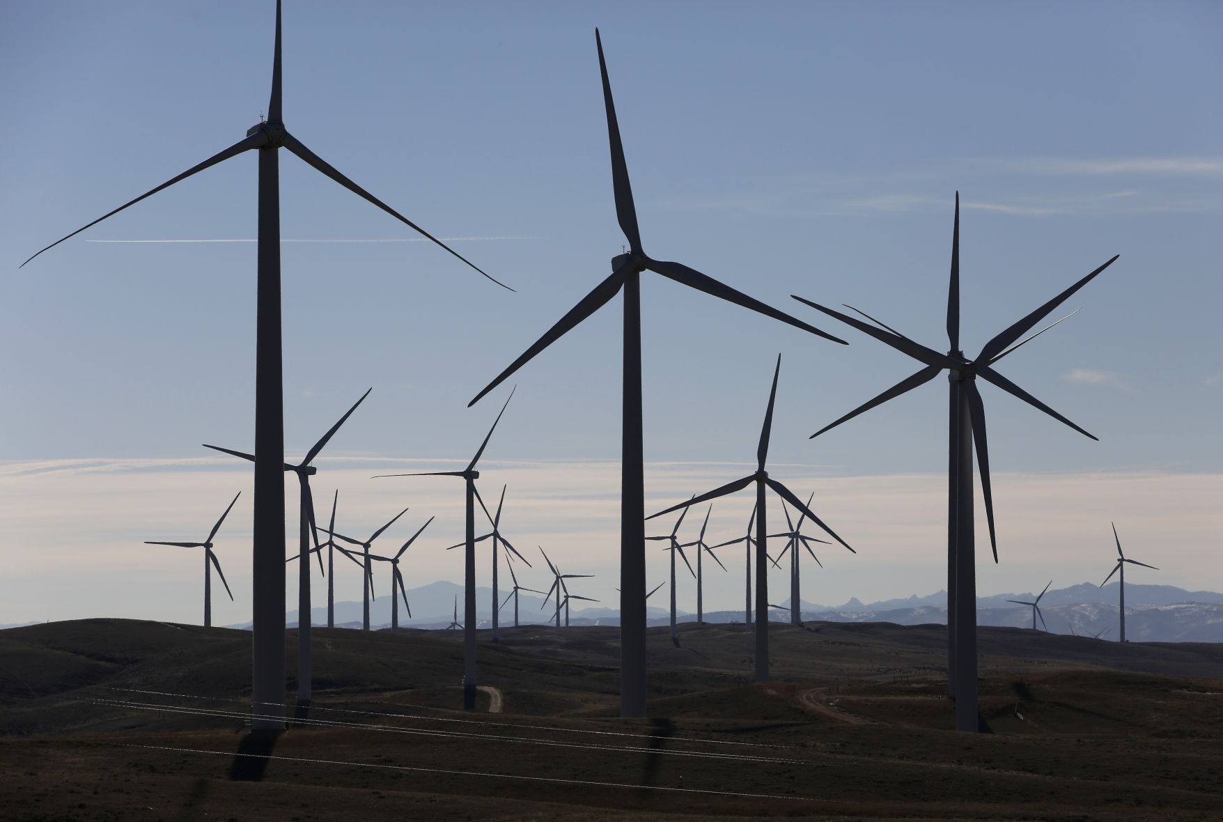 Wind Energy Eagles